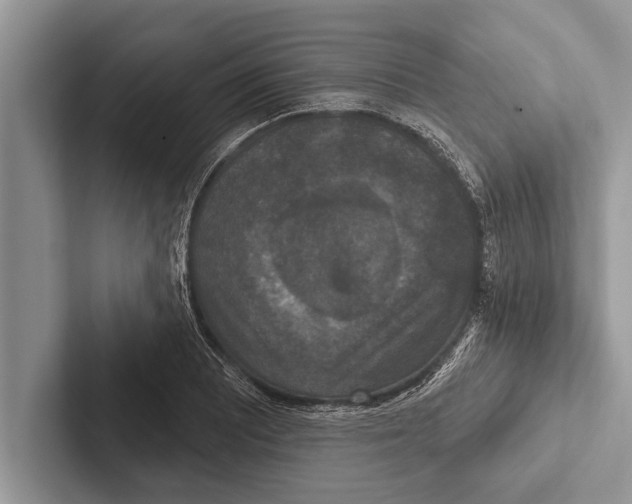 X0000102541081200809051528