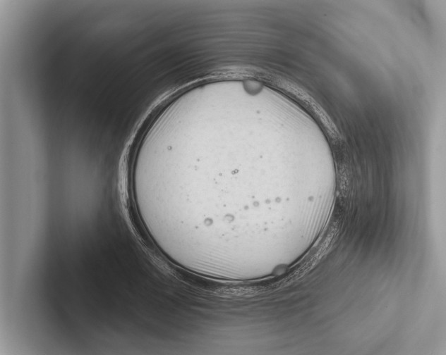 X0000102541083200809051528