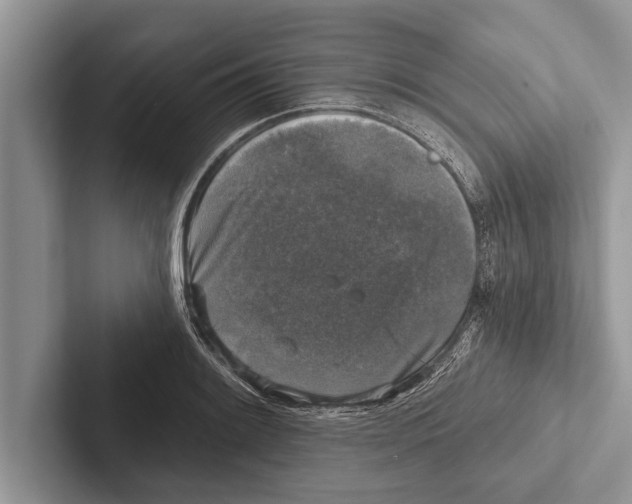 X0000102541084200809051528