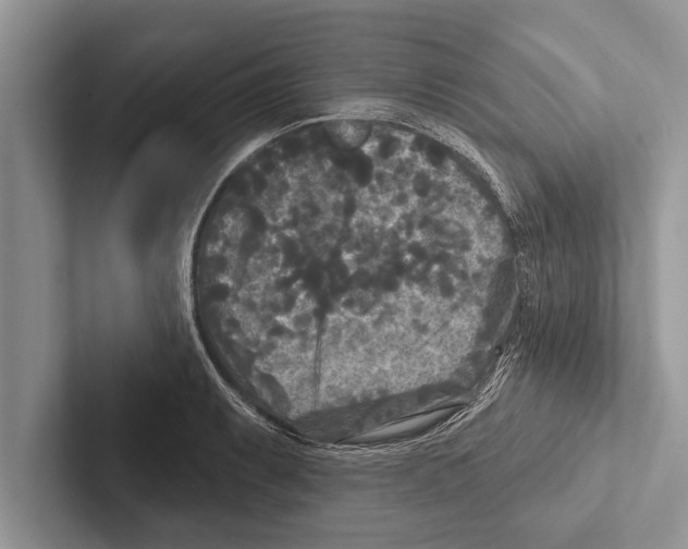 X0000102541087200809051528