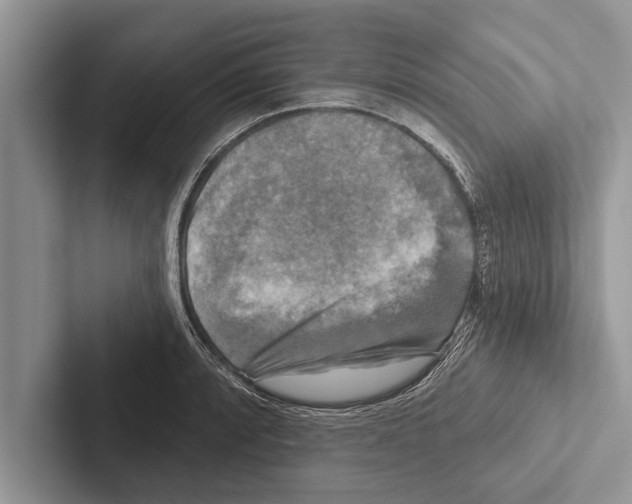 X0000102541088200809051528