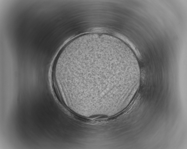 X0000102541091200809051528