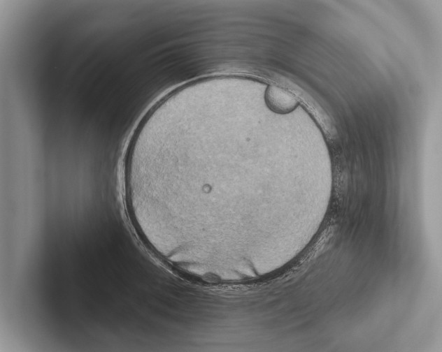 X0000102541092200809051528