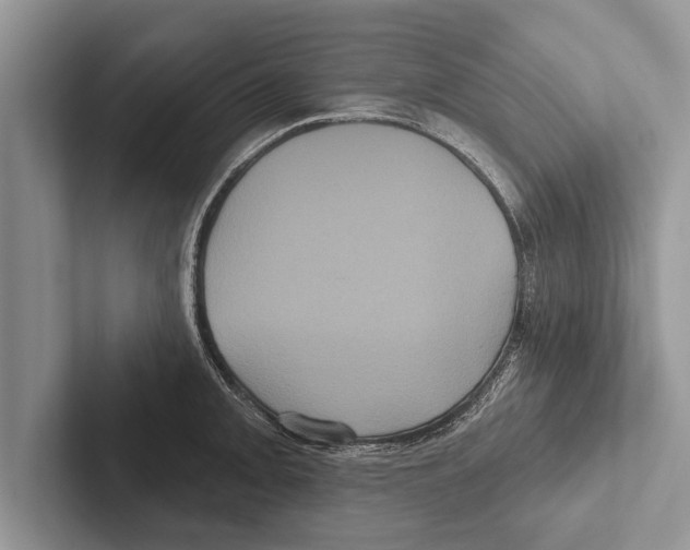 X0000102541093200809051528