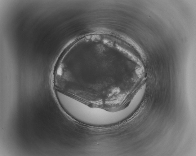 X0000102541095200809051528