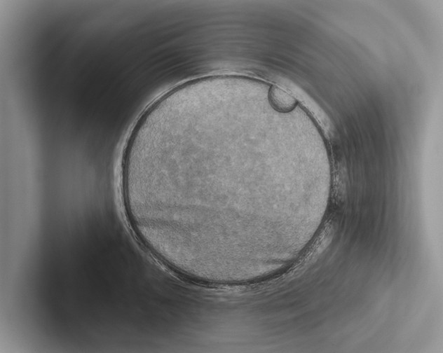 X0000102541096200809051528
