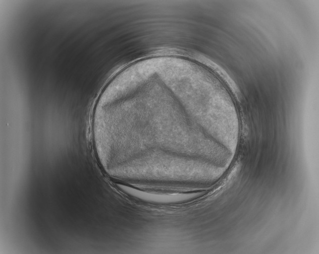 X0000102541097200809051528