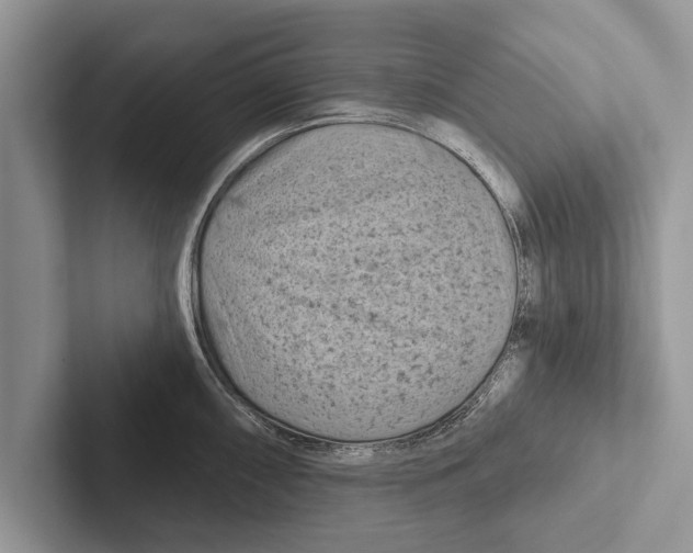 X0000102541098200809051528