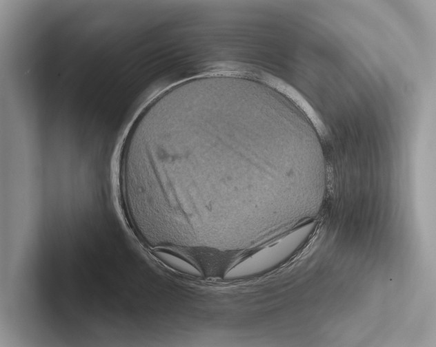 X0000102541099200809051528