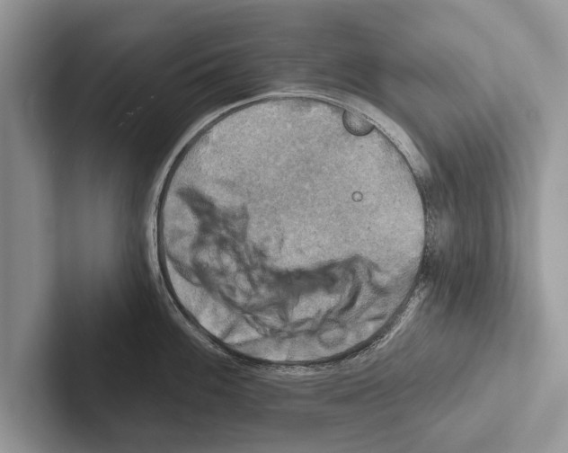 X0000102541100200809051528
