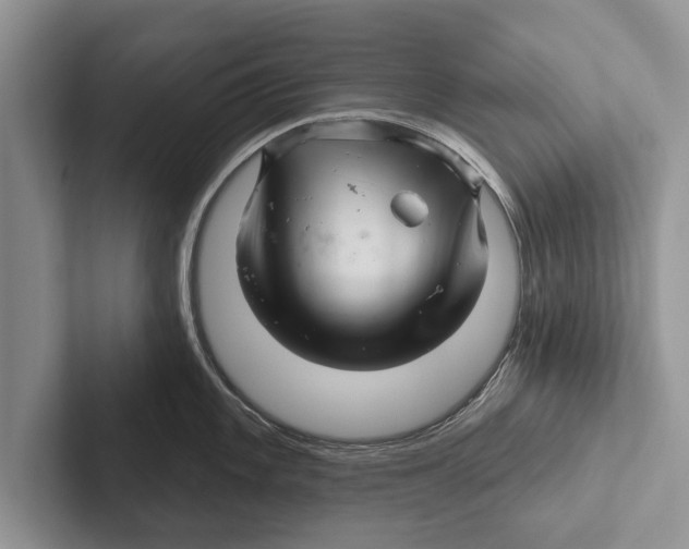 X0000102541101200809051527