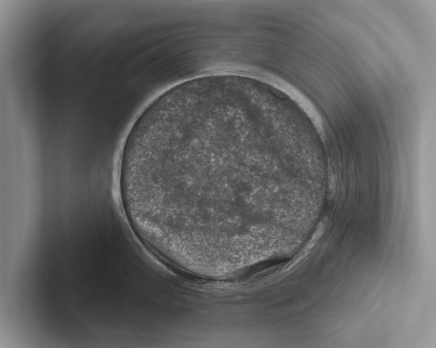 X0000102541102200809051527