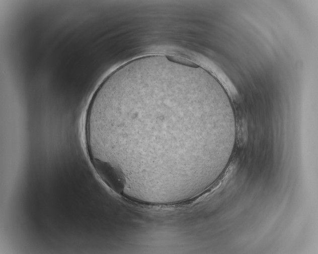 X0000102541103200809051527