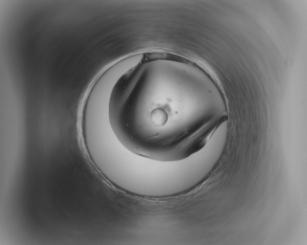 X0000102541104200809051527