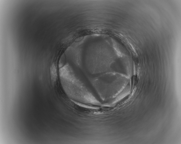 X0000102541106200809051527