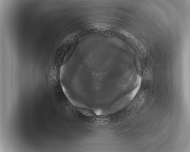 X0000102541110200809051527