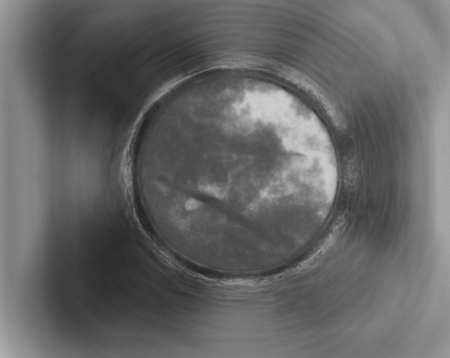 X0000102541114200809051527