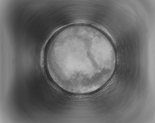 X0000102541116200809051527