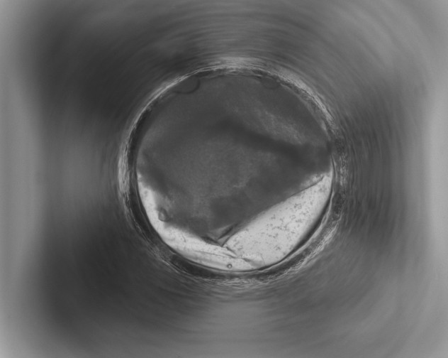 X0000102541117200809051527