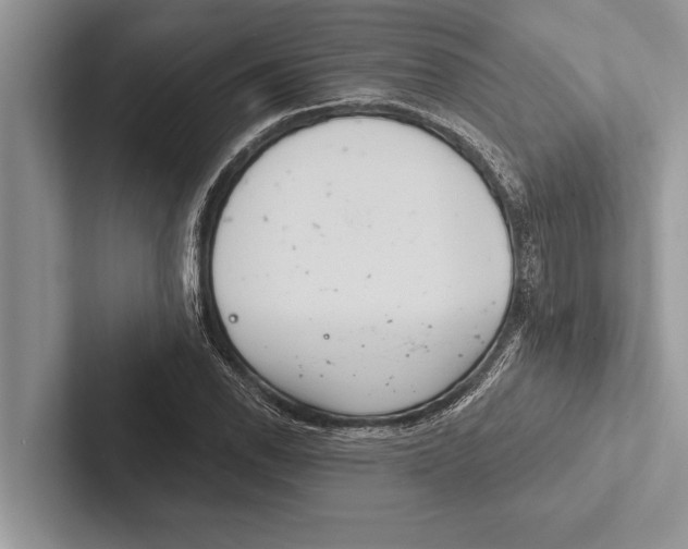 X0000102541118200809051527