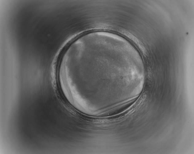 X0000102541120200809051527