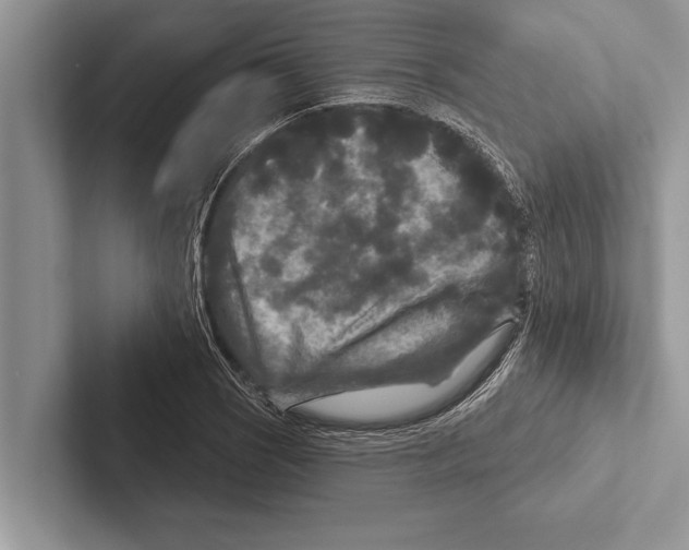 X0000102541121200809051527