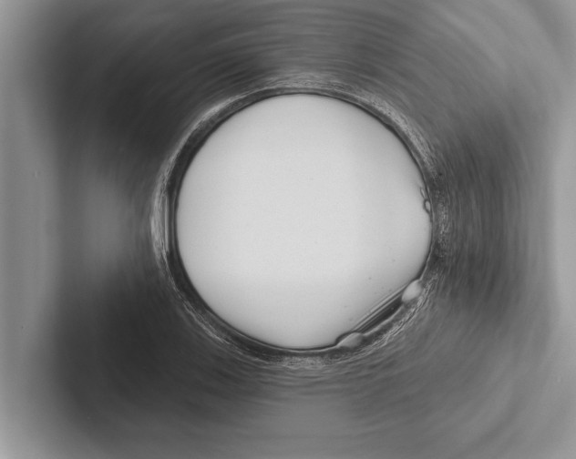X0000102541123200809051527