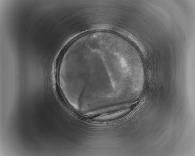 X0000102541124200809051527