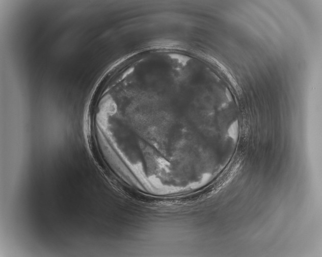 X0000102541125200809051527