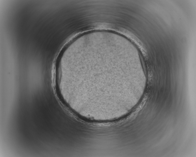 X0000102541126200809051527