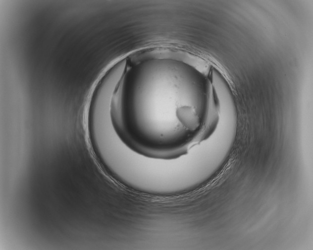 X0000102541128200809051527
