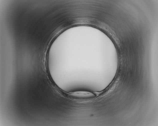 X0000102541129200809051527