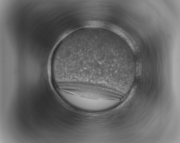 X0000102541130200809051527
