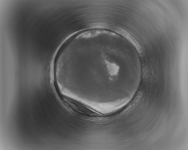 X0000102541132200809051527