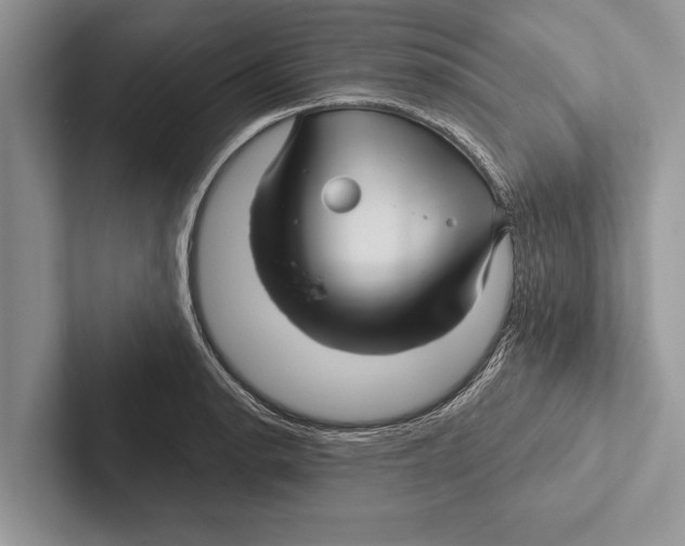 X0000102541134200809051527