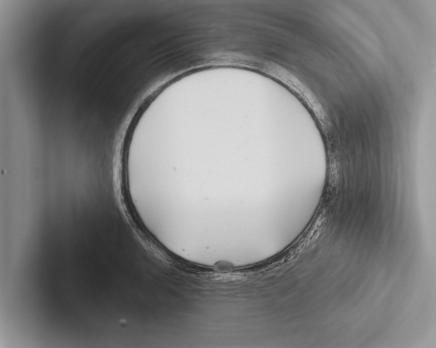 X0000102541136200809051527