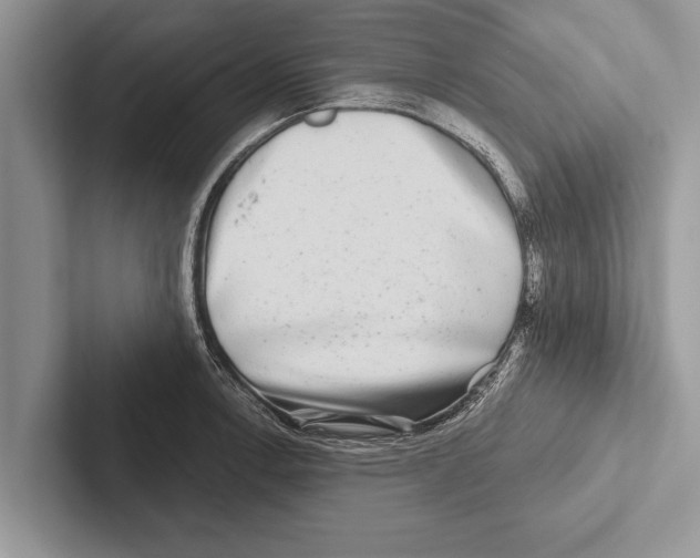 X0000102541138200809051527