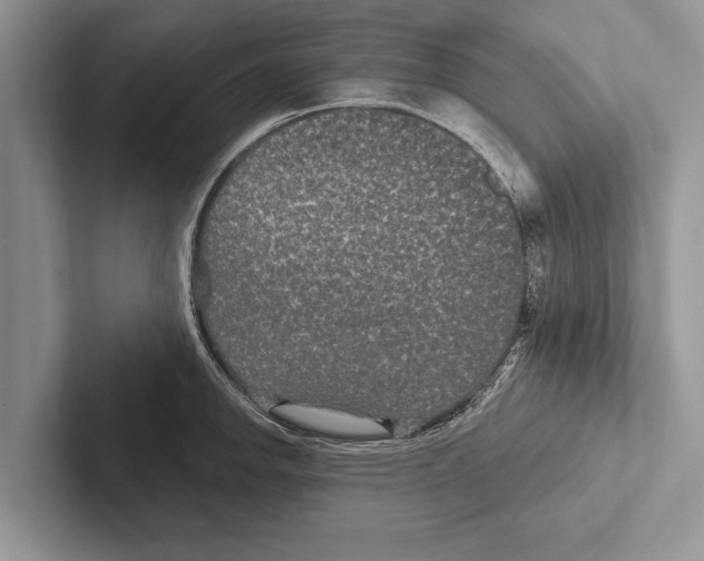 X0000102541142200809051527