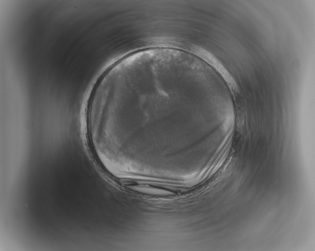 X0000102541144200809051527