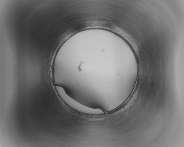 X0000102541145200809051527