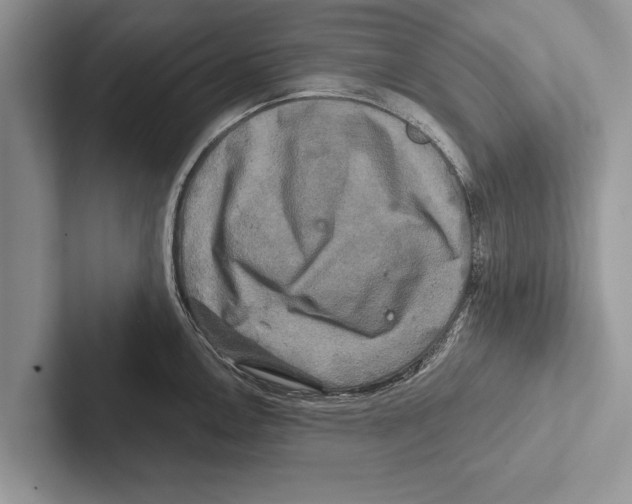 X0000102541146200809051527