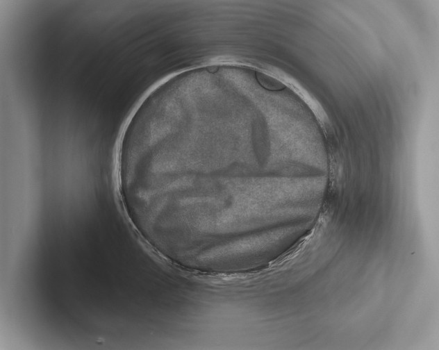 X0000102541148200809051527