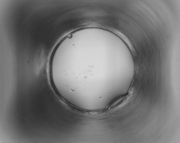 X0000102541149200809051527