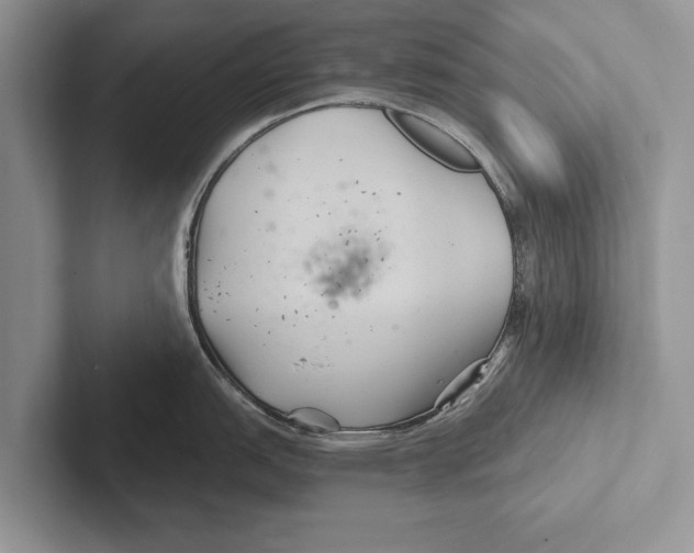 X0000102541151200809051527