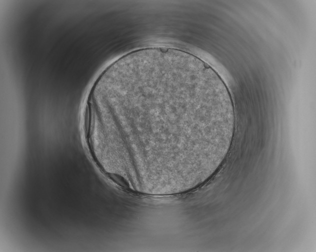 X0000102541152200809051527