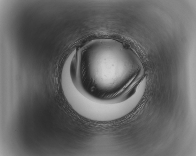 X0000102541157200809051527