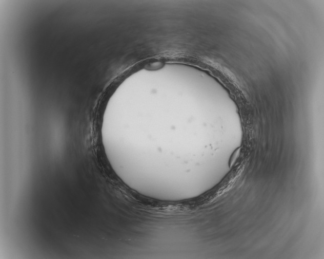 X0000102541160200809051527