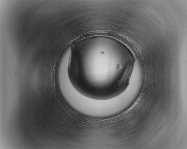X0000102541161200809051527