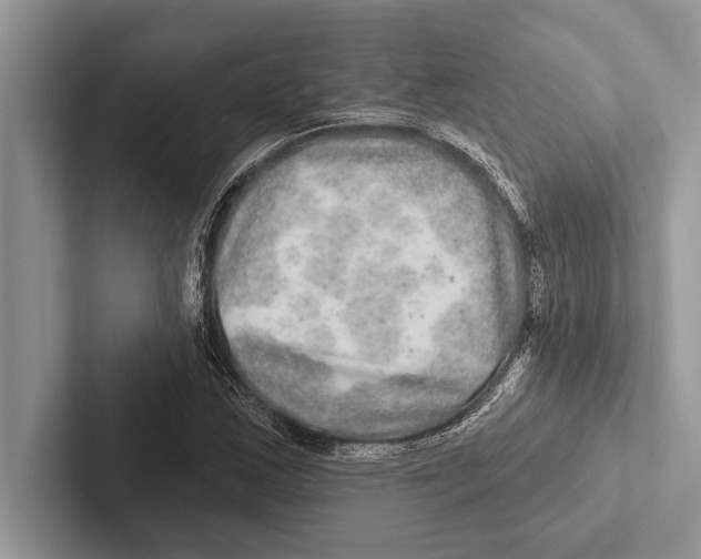 X0000102541163200809051527