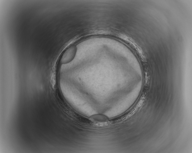 X0000102541165200809051527